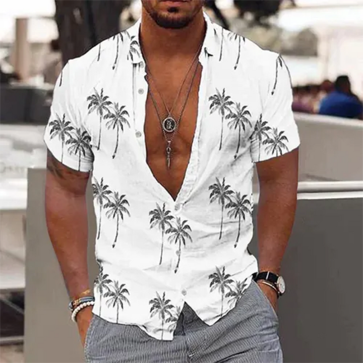 Hommes Chemise D'été À Manches Courtes | Bouton En Bas