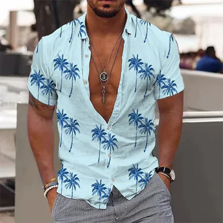 Hommes Chemise D'été À Manches Courtes | Bouton En Bas