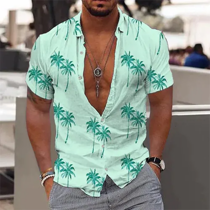 Hommes Chemise D'été À Manches Courtes | Bouton En Bas