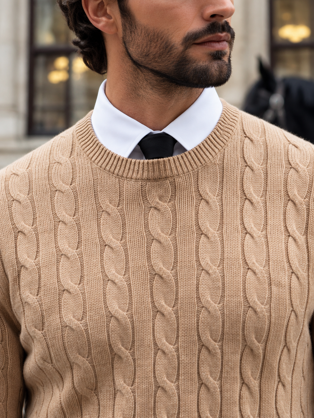 Maglione da uomo in maglia a trecce con girocollo e bordi a coste