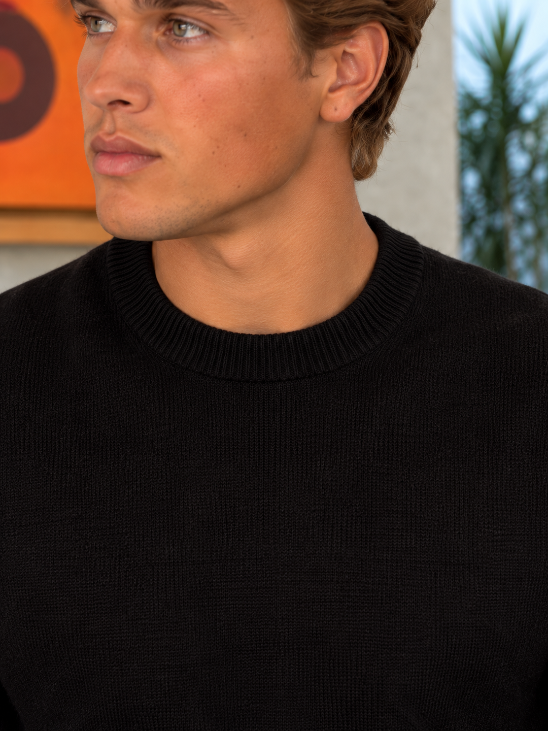Pullover da uomo in maglia tinta unita con scollo rotondo e bordi a coste