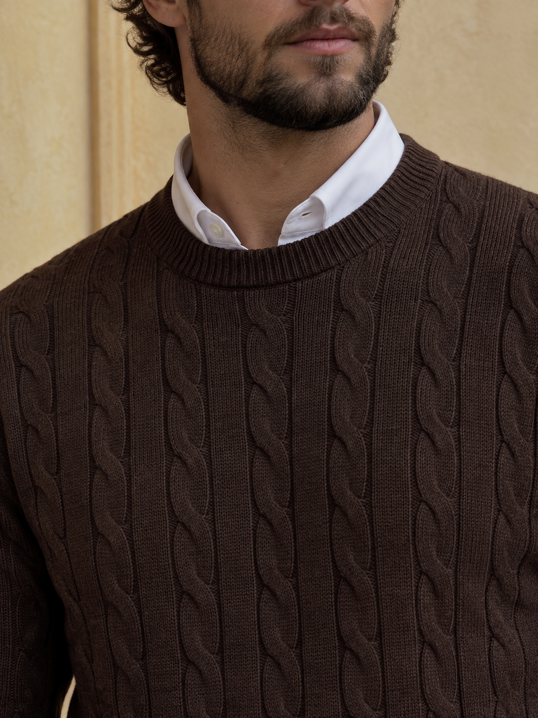 Maglione da uomo in maglia a trecce con girocollo e bordi a coste