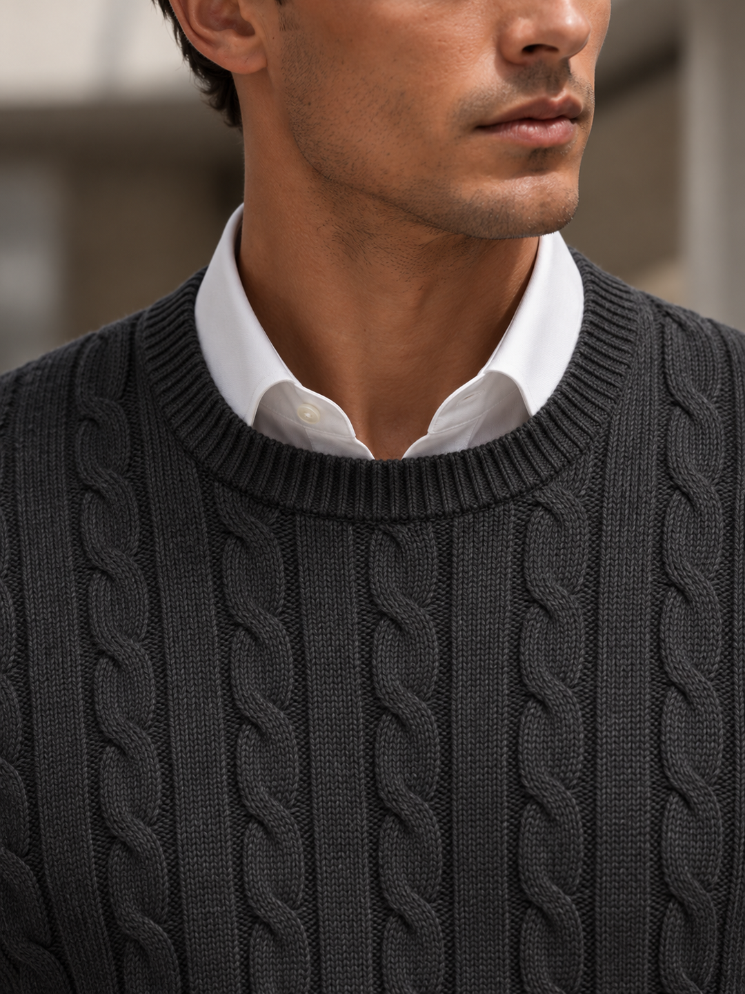 Maglione da uomo in maglia a trecce con girocollo e bordi a coste