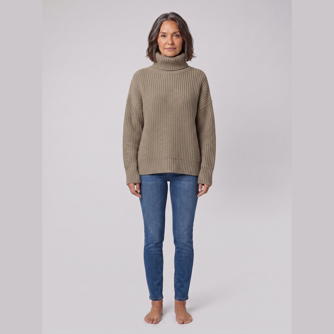 Pull Col Roulé Femme Maille Douce Coupe Décontractée